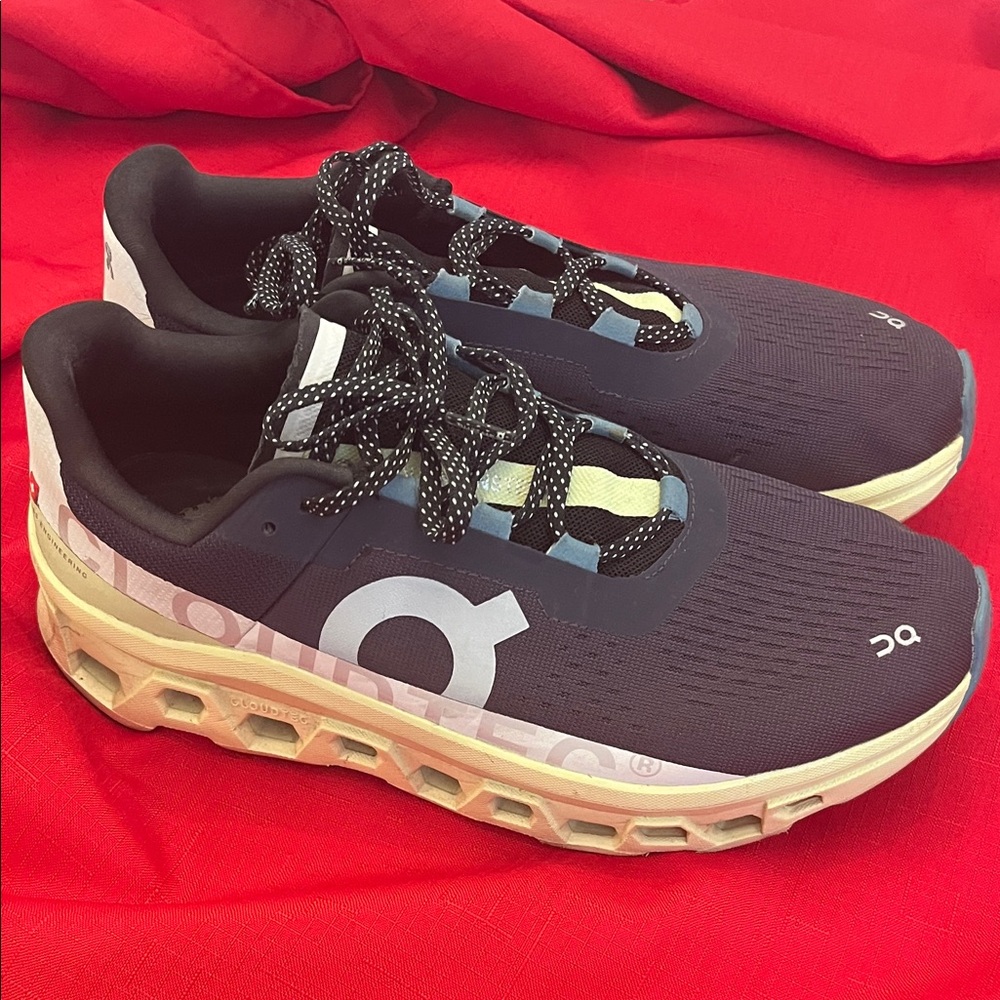 ON Running Shoes Cloudmonster